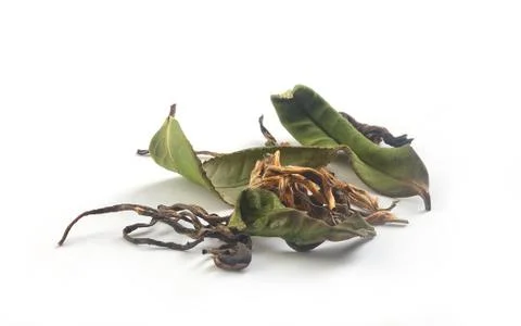 Tea leaves Stock Photos