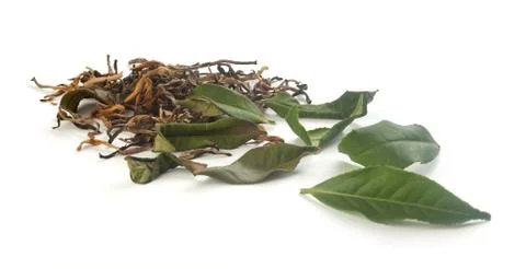 Tea leaves Stock-Fotos