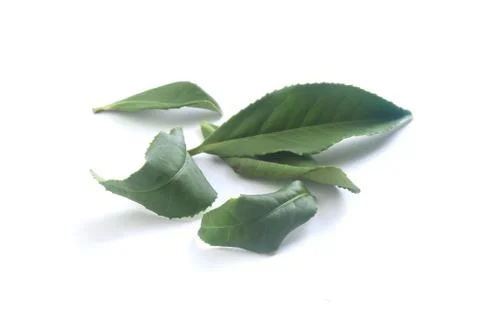 Tea leaves Stock Photos