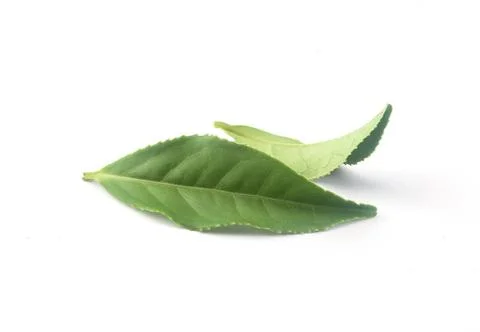 Tea leaves Stock-Fotos