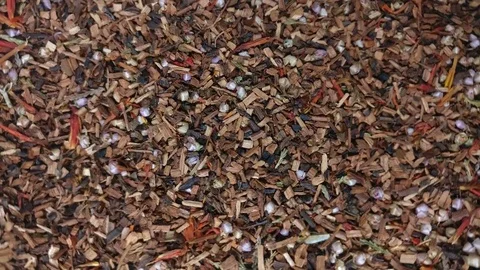 Tea leaves rotating v4 Stock Footage 76137753