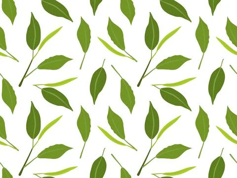 Tea leaves seamless pattern. Green fresh leaves isolated on white background 스톡 일러스트