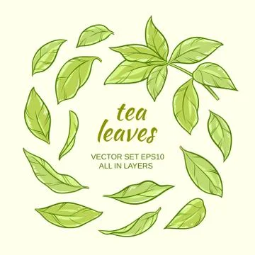Tea leaves set Stock Illustration