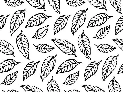 Tea leaves sketch seamless pattern. Vlack and white leaves background. Botanical Stock Illustration