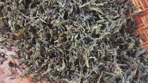 Tea leaves spread on a traditional bamboo tea tray Stock Footage 342408904