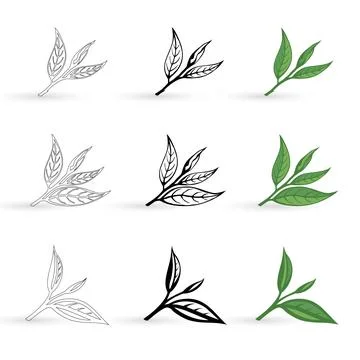 Tea Leaves Vector illustration Art 스톡 일러스트