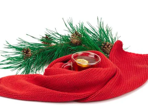 Tea with lemon in the cup, scarf around the cup and a branch of spruce Stock Photos