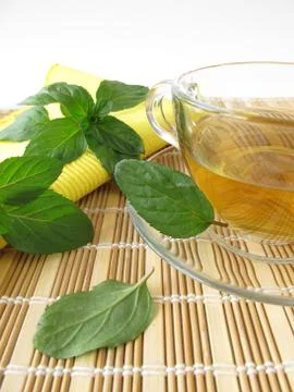 Tea with lemon mint Stock Photos