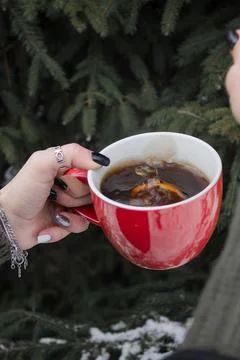 Tea with lemon Stock Photos
