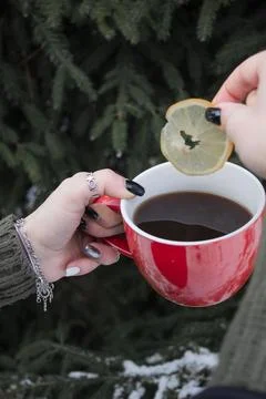 Tea with lemon Stock Photos