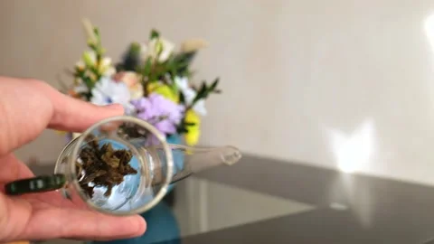 A tea lover demonstrates brewed white elite tea leaves in a glass teapot. Stock Footage 220341926