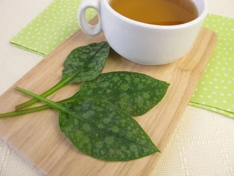Tea with lungwort Foto stock