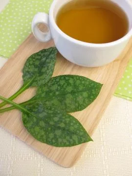 Tea with lungwort Foto stock