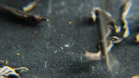 Tea in macro falls on the table 動画素材 178547661