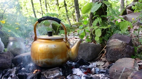 Tea made in nature Stock Footage 129530247
