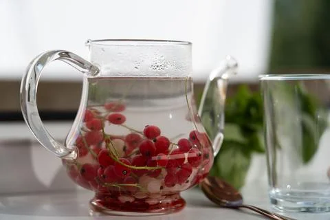 Tea made from red currant berries. Fotos de archivo
