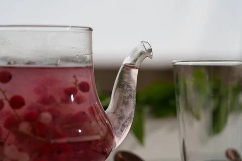 Tea made from red currant berries. 写真素材