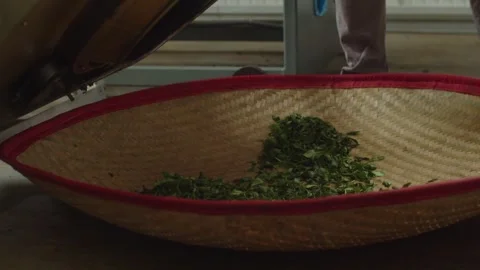 Tea making process in a small factory. Green fresh tea leaves falling into Stock Footage 263177623