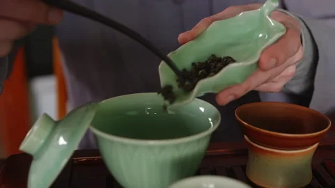 Tea master brewing tea putting tieguanyin leaves from tea pitcher to gaiwan. Stock Footage 239050624