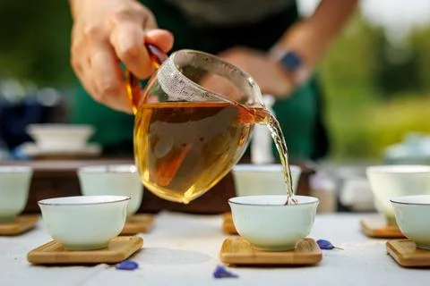 Tea master pouring green tea into white Chinese teacup. Stock Photos