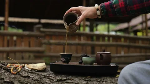 Tea master pours tea from a clay pot into bowls. outdoor chinese tea ceremony Stock Footage 220415294