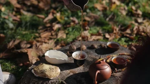 Tea master pours tea from a clay pot into a bowl.chinese tea ceremony concept Stock Footage 229859468
