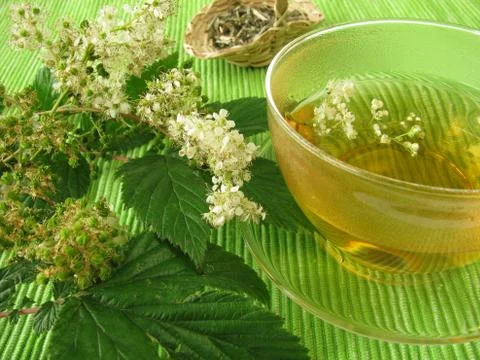 Tea with meadowsweet Foto stock