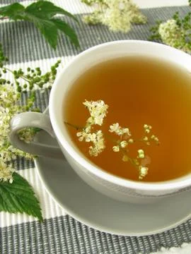 Tea with meadowsweet Foto stock