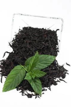 Tea with mint, ceylon, black tea Stock Photos