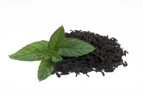 Tea with mint, ceylon, black tea Stock Photos