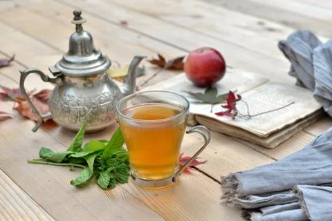 Tea mint on a mug in garden Stock Photos