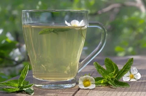 Tea with mint Stock Photos
