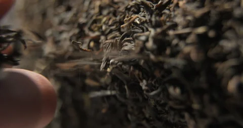 Tea mixing with hands 4K pro res Stock-Footage 274907061