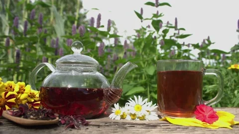 Tea in nature. Видео 153319161