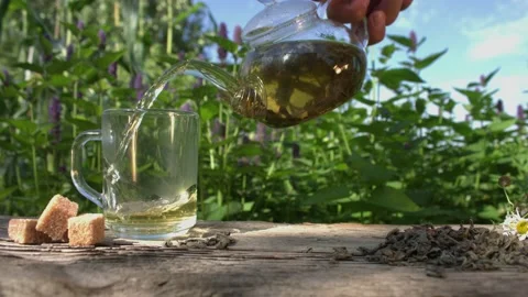 Tea in nature. Slow Motion 2x. Видео 153316258