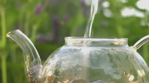 Tea in nature. Slow Motion 2x. Rack focus. Stockbeeldmateriaal 153317889