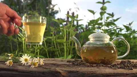 Tea in nature. Slow Motion 2x. Video stock 153319177