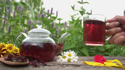 Tea in nature. Slow Motion 2x. Видео 153353139