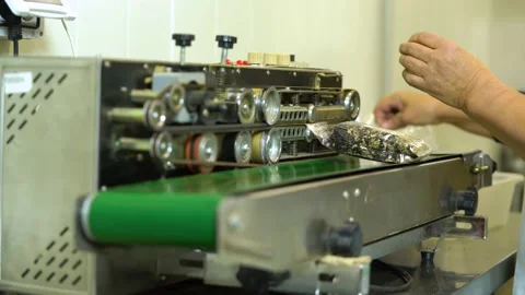 Tea packaging process.  The process of packing tea in a production machine․ Stock Footage 143390552