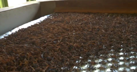 Tea particles move over patterned metal sorting screen Stock Footage 345932471