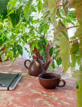 Tea Party between work Stock Photos