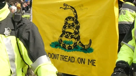 Tea Party Flag at Rally Boston 動画素材 87635361