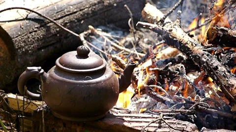 Tea party in forest 03 Stock Footage 7759009