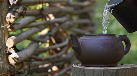 Tea party in forest Stock Footage 7759007