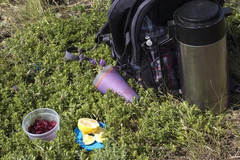 Tea party on the nature. Stock Photos