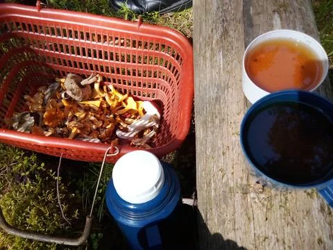 Tea party on a tree trunk Foto stock