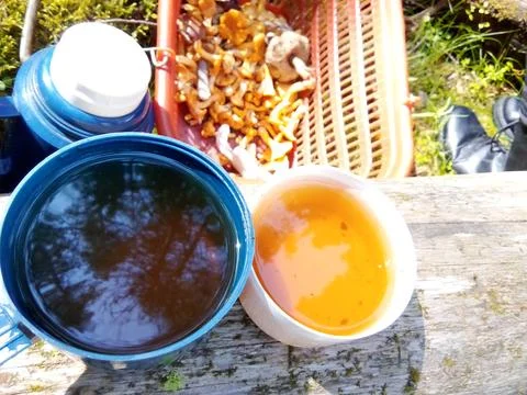Tea party on a tree trunk Stock Photos