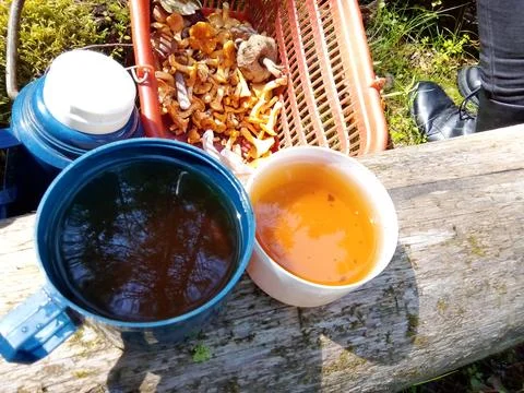 Tea party on a tree trunk Stock Photos