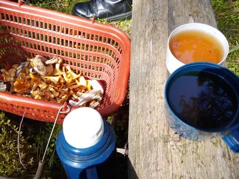 Tea party on a tree trunk Stock Photos