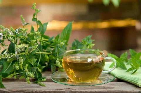 Tea with peppermint 스톡 사진